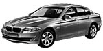 BMW F10 P365D Fault Code